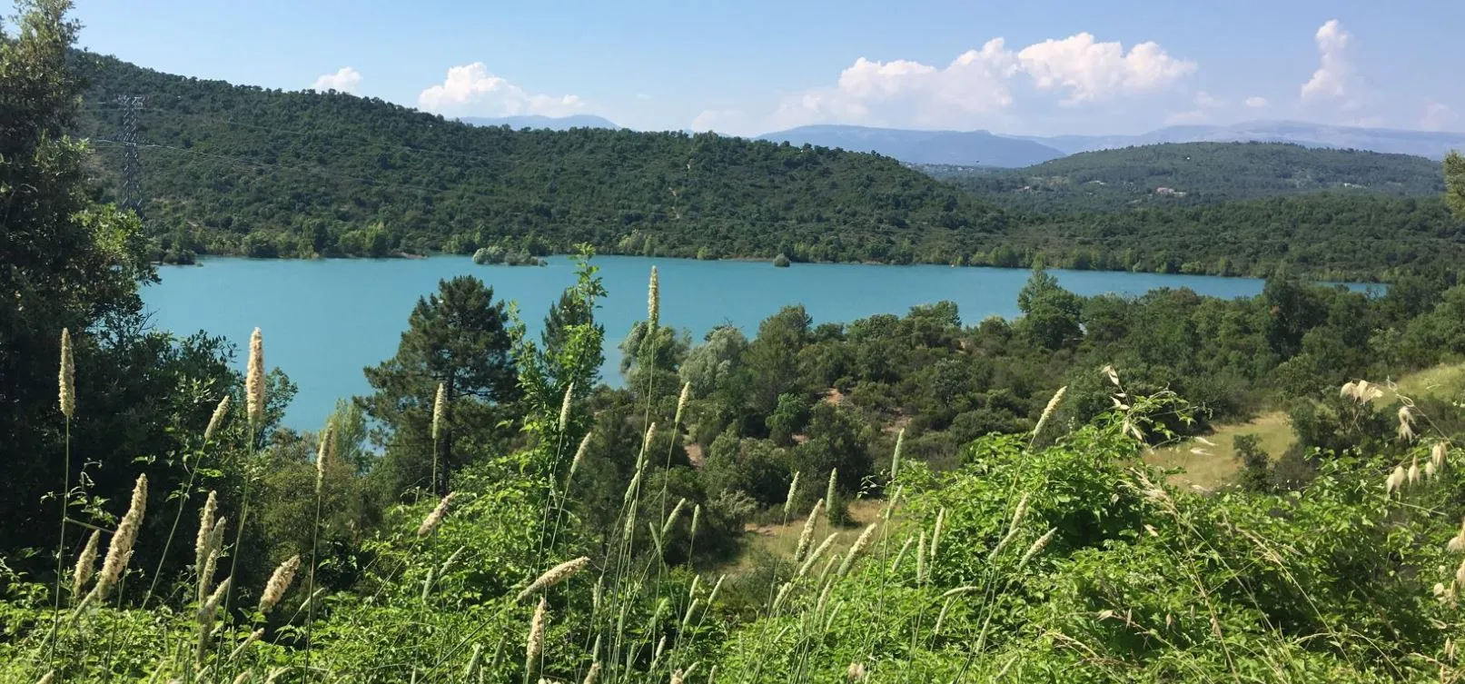 Lac de Saint-Cassien – panorama et nature